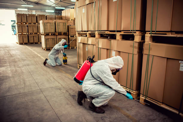 Best Bed Bug Extermination  in Telford, TN