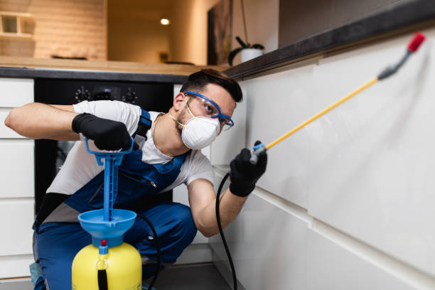 Best Termite Control Services  in Telford, TN