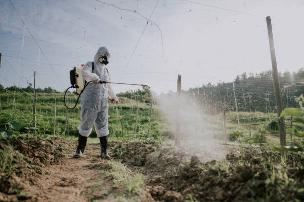 Best Affordable Pest Control Services  in Telford, TN