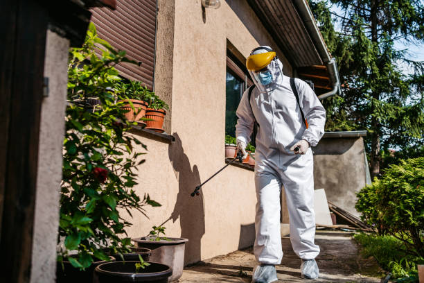 Wasp Removal Services in Telford, TN