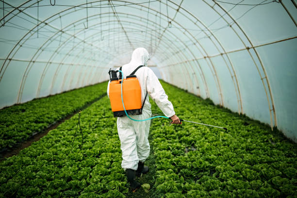 Best Best Pest Control Companies  in Telford, TN