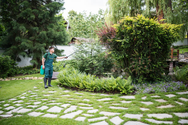 Best Residential Pest Control  in Telford, TN
