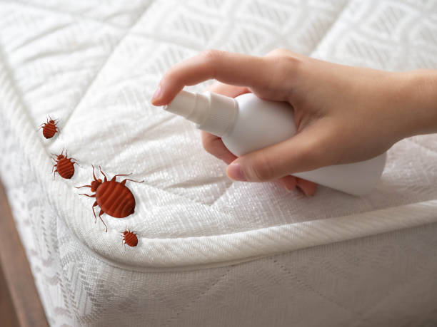 Best Flea Control Services  in Telford, TN