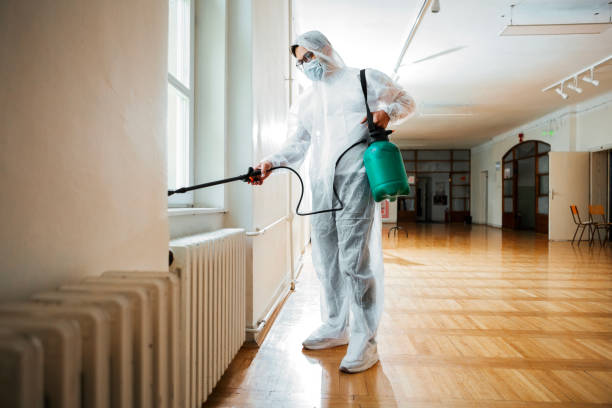 Best Local Pest Control Services  in Telford, TN