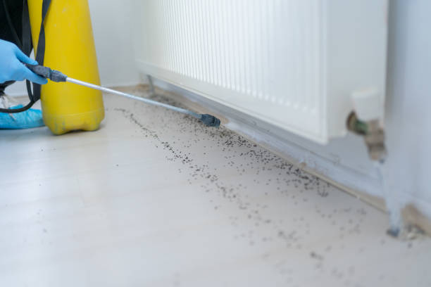Reliable Telford, TN Pest Control Solutions