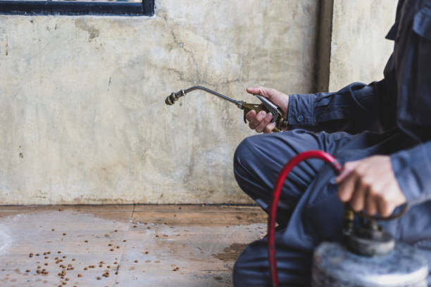 Best Pest Inspection Near Me  in Telford, TN